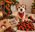Christmas Craft Paw-ty (2 Dates Avilable)